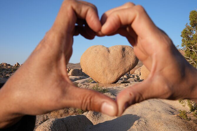 Joshua Tree National Park Private Adventure from Los Angeles - Final Thoughts: Who Should Book This Tour?