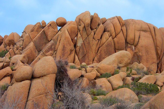 Joshua Tree National Park Scenic Tour - The Itinerary in Detail