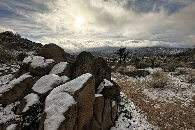 Joshua Tree National Park Self-Guided Driving Audio Tour - Detailed Itinerary Breakdown