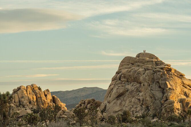 Joshua Tree's Hidden Valley Self-Guided Walking Tour - Exploring the Itinerary: What to Expect