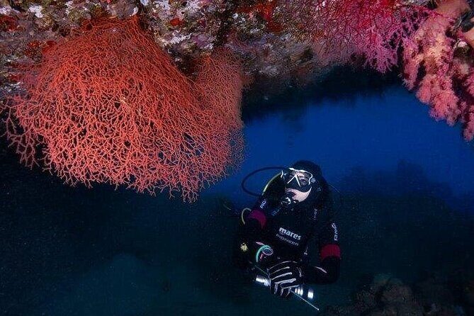 Journey of Diving or Snorkelling from a Boat - Practical Details for Travelers