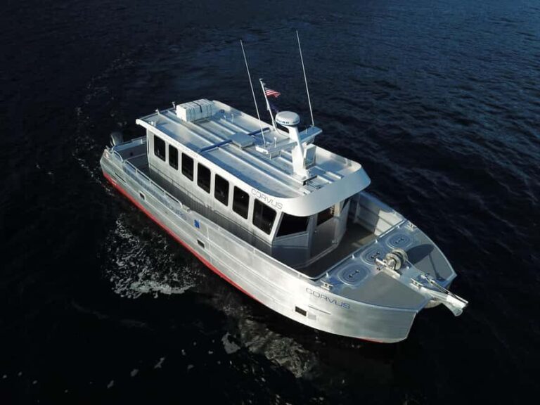 Juneau: 3.5-Hour Small Group Whale Watching Tour - Authentic Encounters and Real People’s Experiences