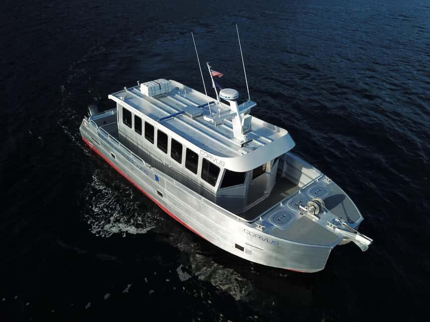 Juneau: 3.5-Hour Small Group Whale Watching Tour