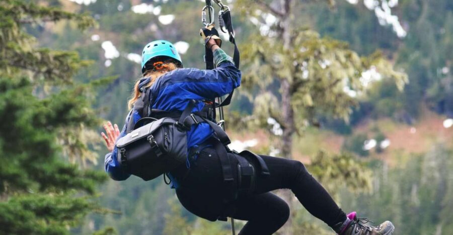 Juneau: Alpine Zipline Adventure - Practical Details and What To Expect