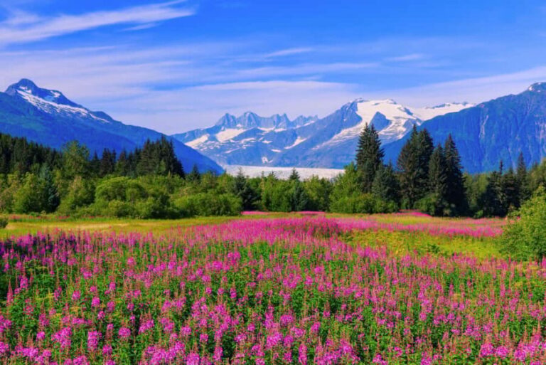 Juneau: Craft Beer and Brewery Tour with Scenic Stops - Final Thoughts: Is This Tour Right for You?