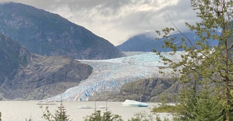 Juneau: Mendenhall Glacier and Whale Watching Tour - Value and Pricing