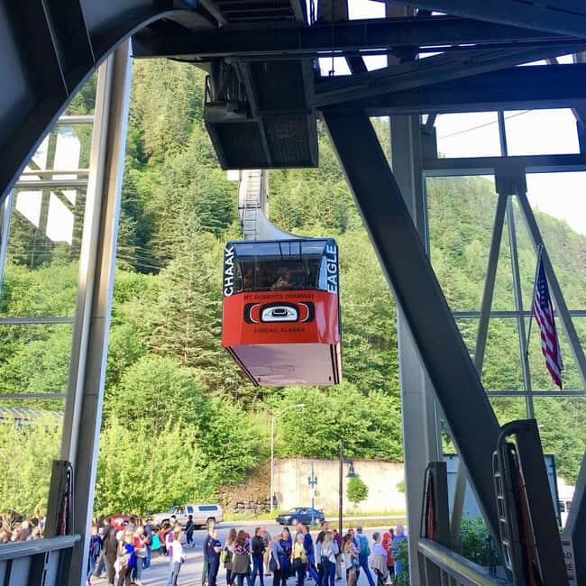 Juneau: Mount Roberts Tram Ride with App and Map - Practical Considerations and Tips