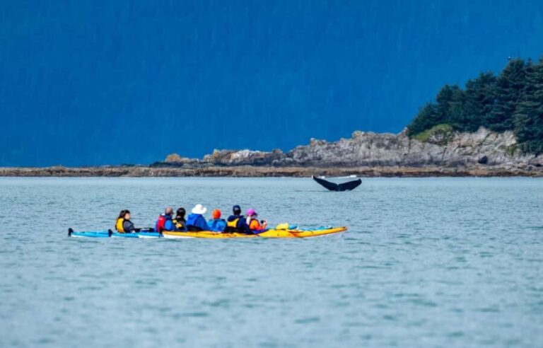 Juneau: Paddle with Whales Kayak Adventure - Why the Price Reflects Value