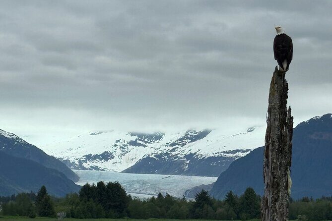 Juneau Private 3 Hour Sightseeing Tour with a Local - Value and Practicalities