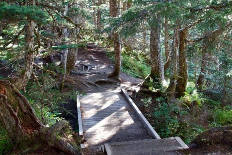 Juneau: Tram, Trails and Ale Tour - Detailed Breakdown of the Experience
