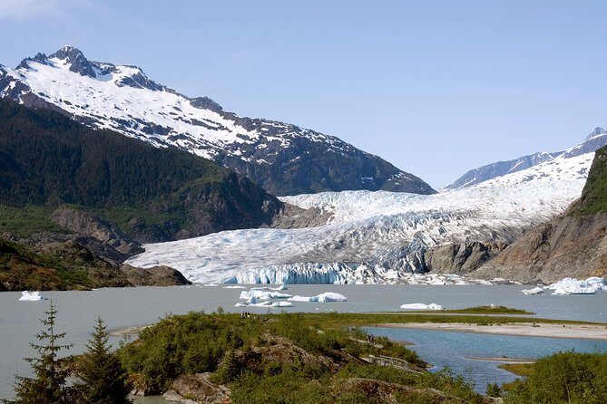 Juneau Wildlife Whale Watching & Mendenhall Glacier - Why This Tour Represents Good Value