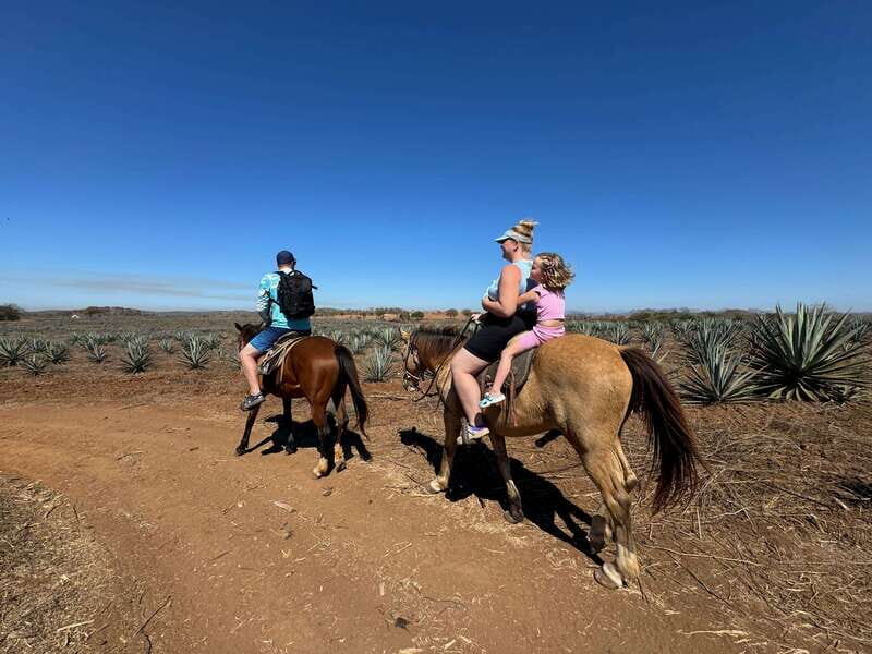 Jungle and beach horseback ride + lunch + mezcal - Tasting Mexico’s Finest: Lunch and Mezcal