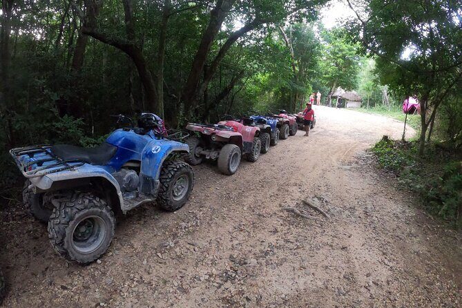 Jungle ATV Adventure: Unveiling Akumal's Enchanting Cenotes - Who Should Consider This Tour?