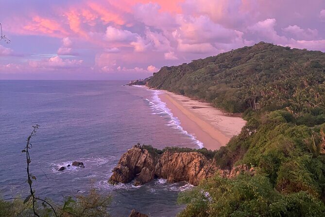 Jungle & Beach: Hidden treasures between the Jungle and the Coast - An In-Depth Look at the Jungle & Beach Tour