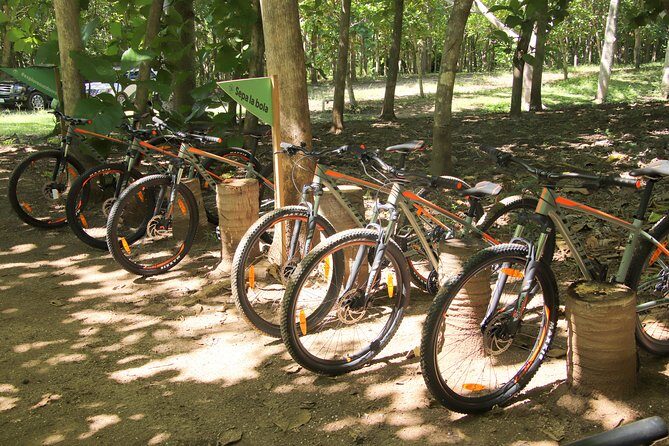 Jungle Bike Tour - The Itinerary: What to Expect