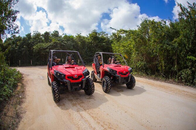 Jungle Buggy Tour from Playa del Carmen Including Cenote Swim - Who Should Consider This Tour?