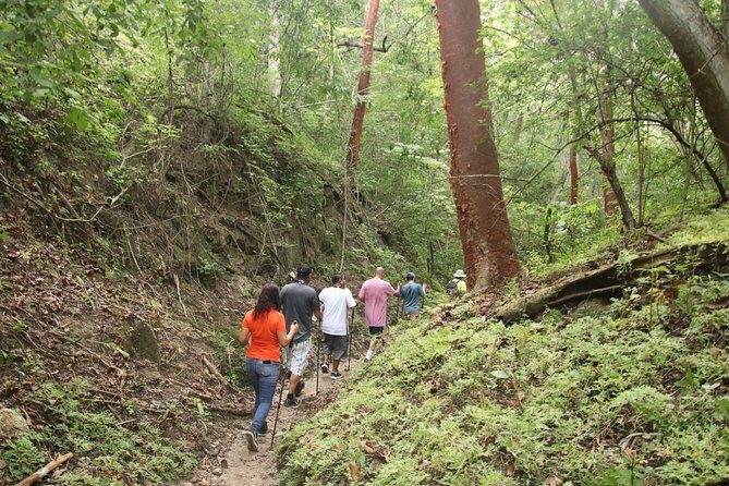 Jungle Hike Tour - Frequently Asked Questions