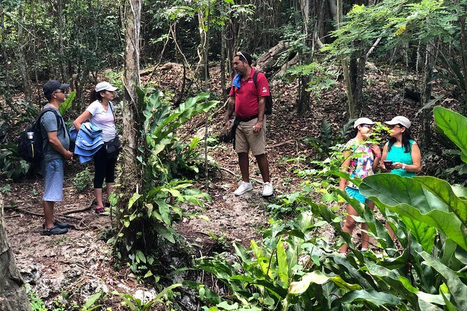 Jungle Jeep Adventure to Mayan Caves, Cenote and Snorkel - Authentic Experiences That Shine