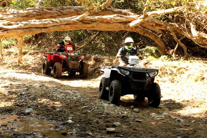 Jungle Single ATV Tour "El Mirador" - Practical Details and Tips