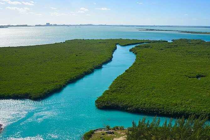 Jungle Tour . Lagoon, Mangrooves & Snorkel for Couples - What Makes This Tour Stand Out