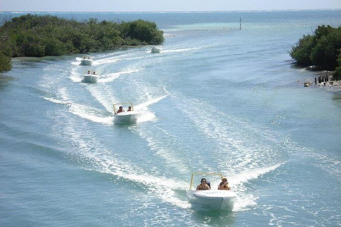 Jungle Tour - Mangroves & Snorkel For Couples - Authentic Experience and Visitor Feedback
