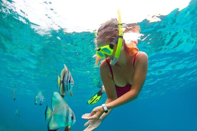 Jungle Tour Puerto Maya in Cancun - The Experience from Real Travelers