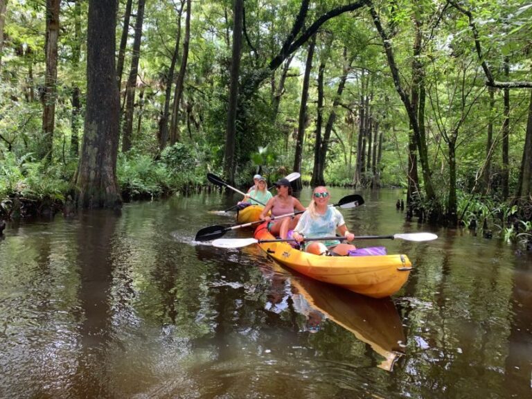 Jupiter: Wild and Scenic Loxahatchee River Kayak Tour - What to Expect: The Itinerary in Detail