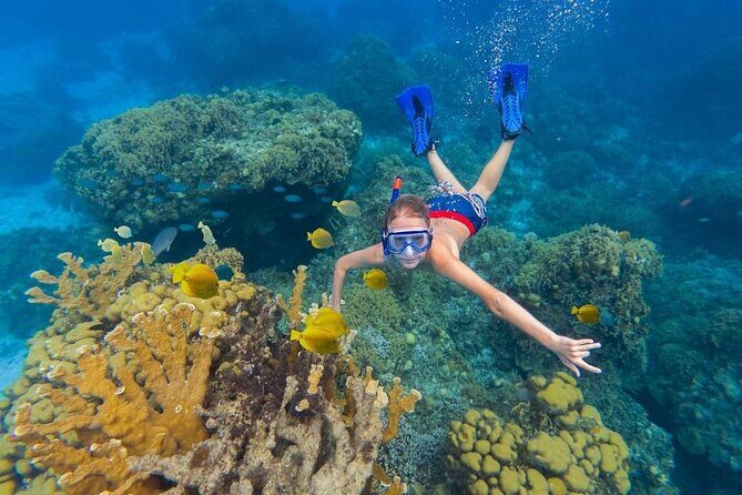 Kaan Luum Lagoon and Cenote Snorkel Tour in Tulum - The Practicalities