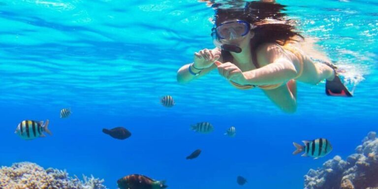 Ka'anapali Beach: Coral Reef Snorkel and Turtle Spotting - The Value of the Tour
