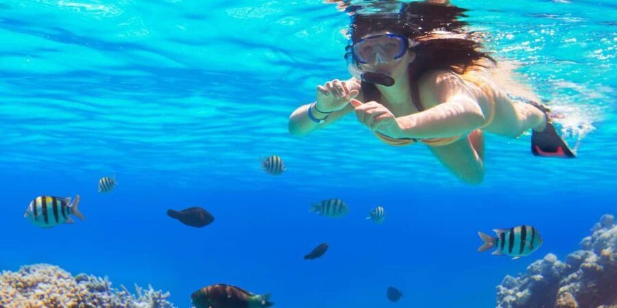 Ka'anapali Beach: Coral Reef Snorkel and Turtle Spotting - The Value of the Tour