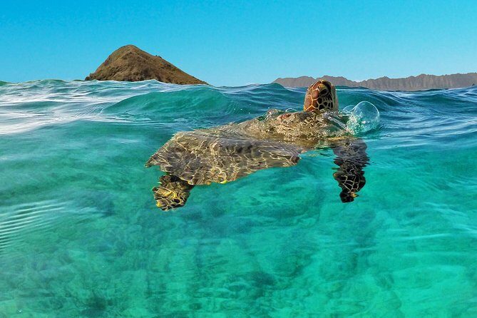 Kailua 2-Hour Guided Kayaking Excursion, Oahu - Why Guides Make a Difference