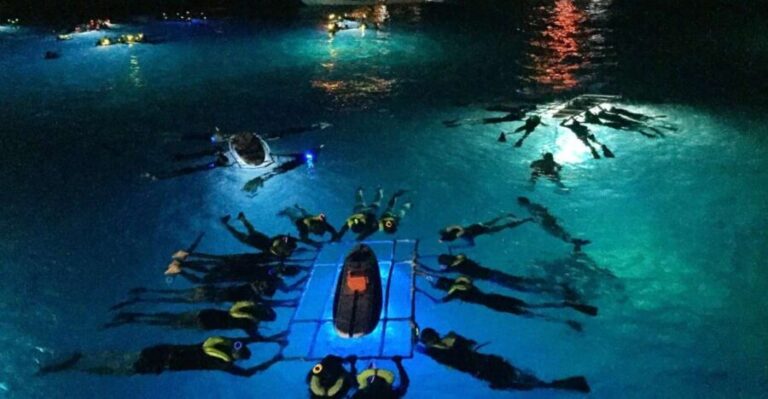 Kailua Kona: Night Manta Ray Adventure on the Big Island - Why This Tour Might Be Your Perfect Hawaii Adventure
