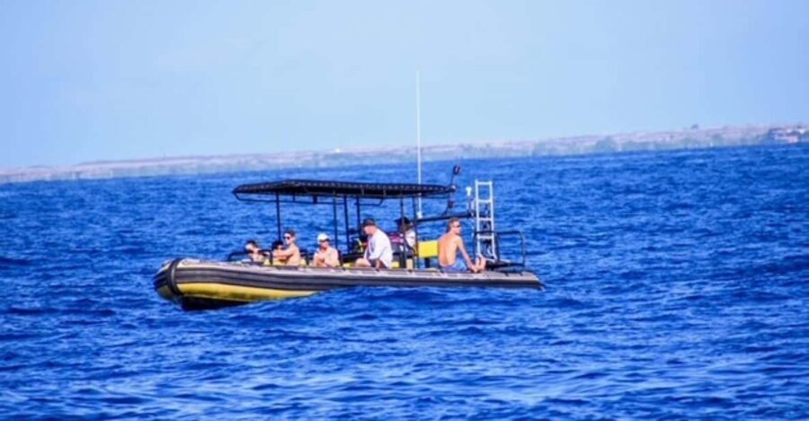 Kailua-Kona: Private Marine Charter Adventure - Who Should Consider This Tour?