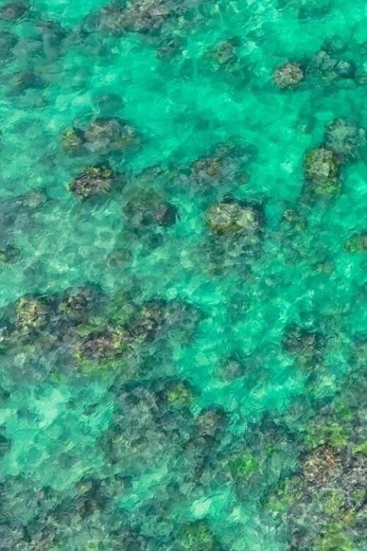 Kailua, Oahu: Guided E-Bike & Kayak Tour to Mokulua Islands - What to Expect: A Breakdown of the Day