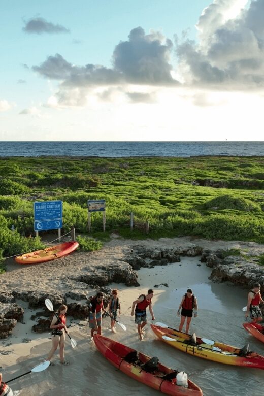Kailua, Oahu: Popoia Island & Kailua Bay Guided Kayak Tour - Why We Love This Tour