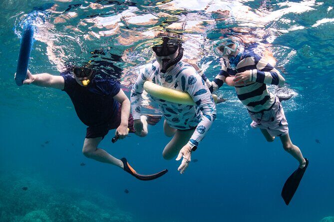 Kaimana Kealakekua Bay Captain Cook Adventure - The Itinerary: What to Expect
