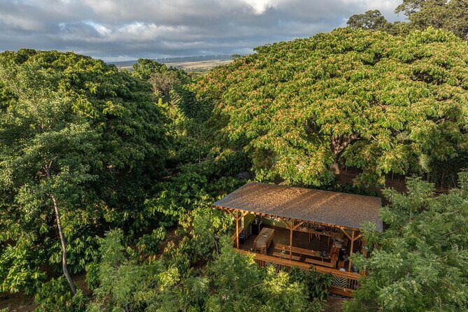 Kamananui Cacao Orchard Tour - Practical Considerations