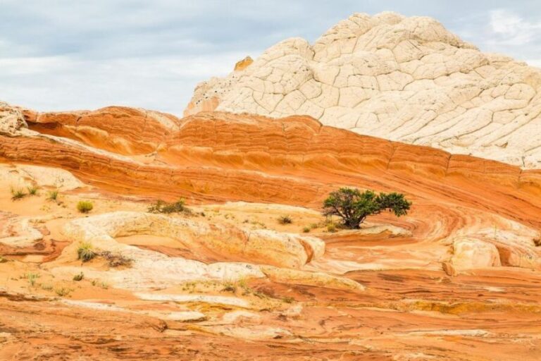 Kanab: White Pocket Tour & Hike - What’s Included and What You Should Bring