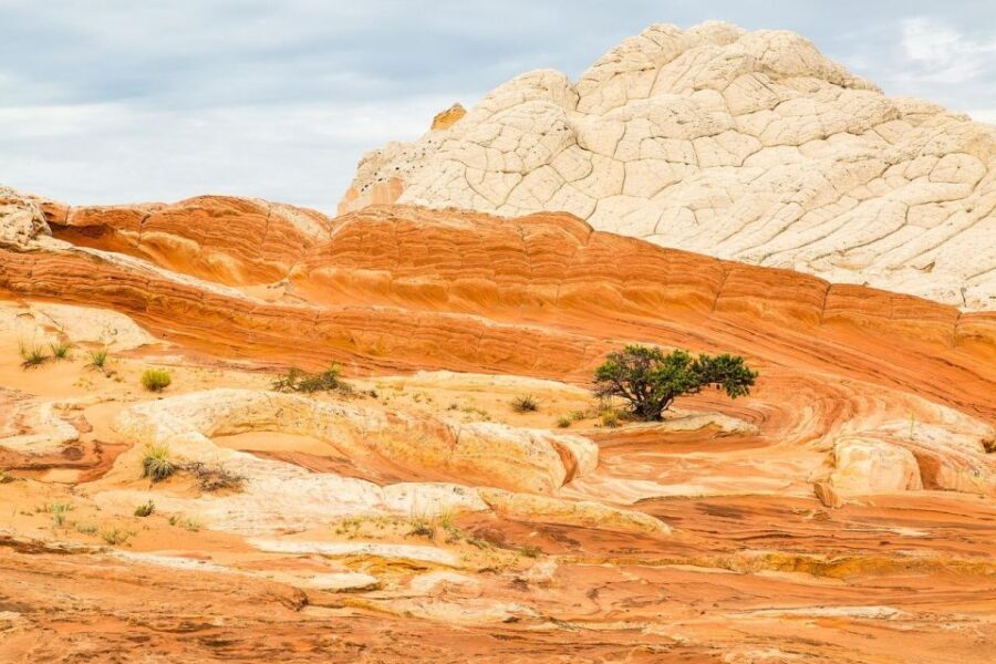 Kanab: White Pocket Tour & Hike