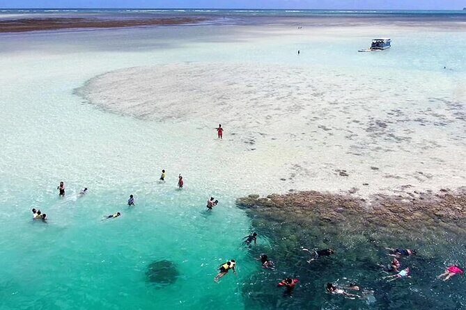 Kaneohe Sandbar Snorkeling Tour - 2nd Tour - What Makes This Tour Stand Out?