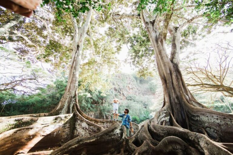 Kauai: Allerton Garden Guided Group Walking Tour - The Practicalities and Value