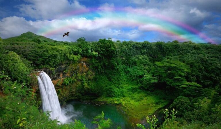 Kauai: Customized Luxury Private Tour - The Experience Breakdown