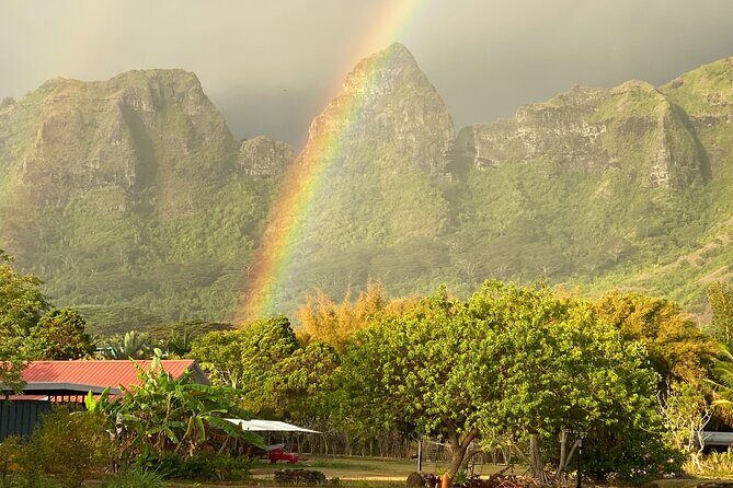 Kauai East Side and North Shore Private Guided Tour - In-Depth Look at the Itinerary and Experience