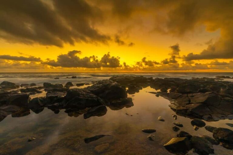 Kauai East Side and North Shore: Waterfalls & Beaches Tour - Authenticity and Reviews