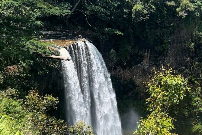 Kauai Eastside & Waterfalls-Shared Small Group Tour - Why You Should Consider This Tour