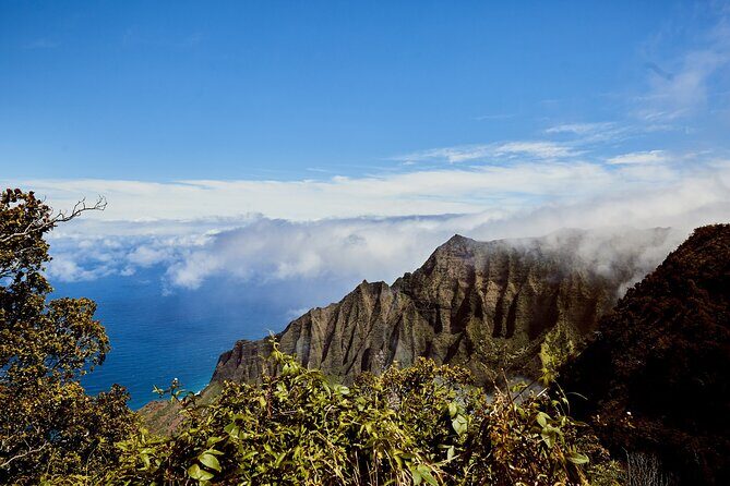 Kauai Full Day Tour with Cruise ships or Kauai Airport Pickup - The Value of This Tour
