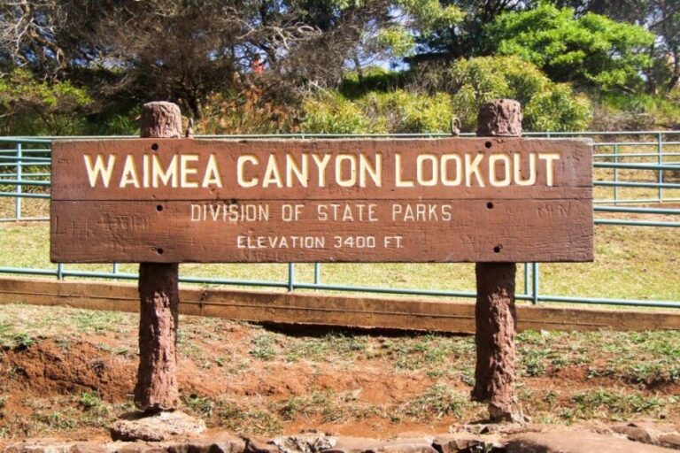 Kauai: Full-Day Waimea Canyon & Wailua River Tour - Who Is This Tour Best For?