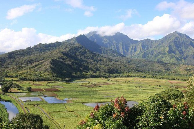 Kauai: Hawaii Movie Tour - The Transportation and Group Experience