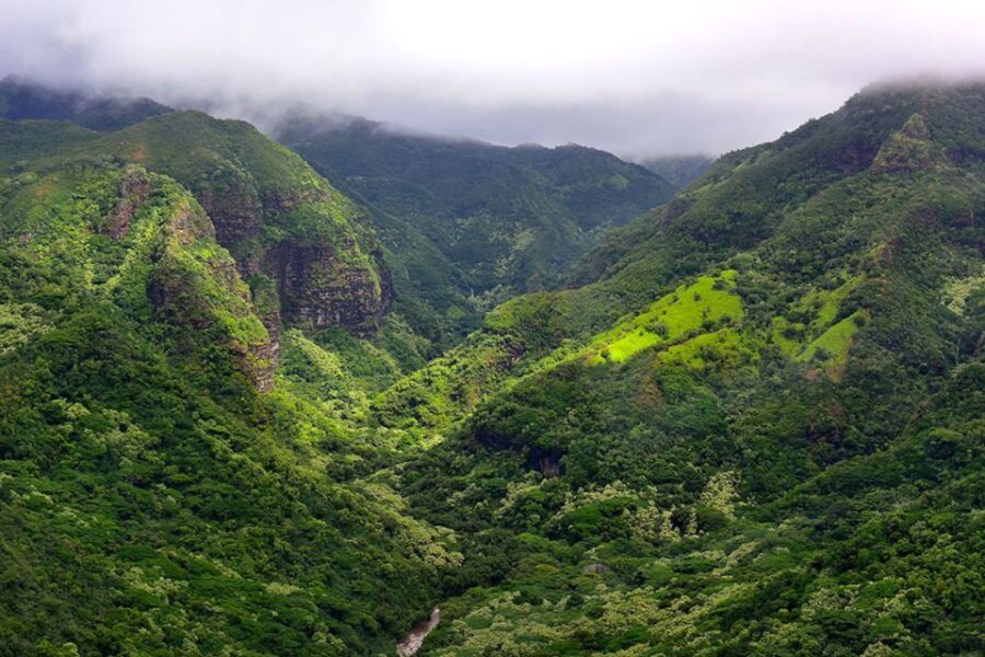 Kauai: Highlights & Movie Sites - The Practical Side: What to Expect and Value