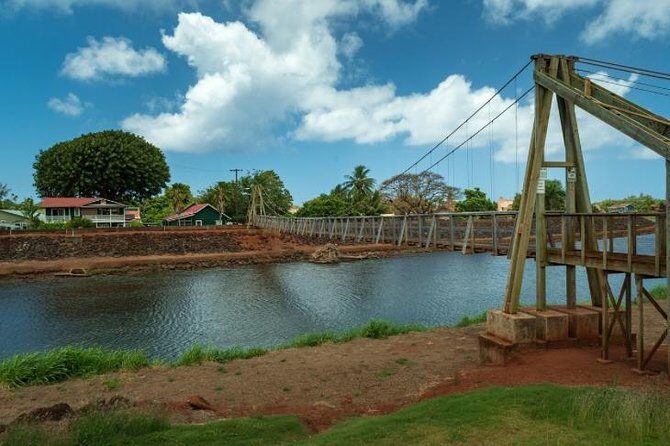 Kauai Highlights Small Group Tour -A journey to the Canyon & more - Who Is This Tour Best For?